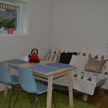 Totally Independent Apartment Near Ntnu,Lerkendal And Center Trondheim Exterior photo